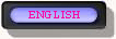 View this page in English